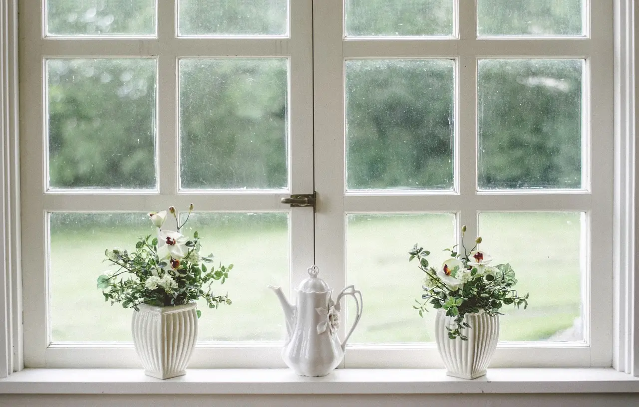 white, window, free background, 4k wallpaper, glass, floral background, mac wallpaper, wallpaper hd, nature, wallpaper 4k, shield, flower wallpaper, laptop wallpaper, 4k wallpaper 1920x1080, beautiful flowers, frame, free wallpaper, flower, desktop backgrounds, beautiful wallpaper, cool backgrounds, vase, windows wallpaper, full hd wallpaper, flower background, hd wallpaper, home, interior, wallpaper